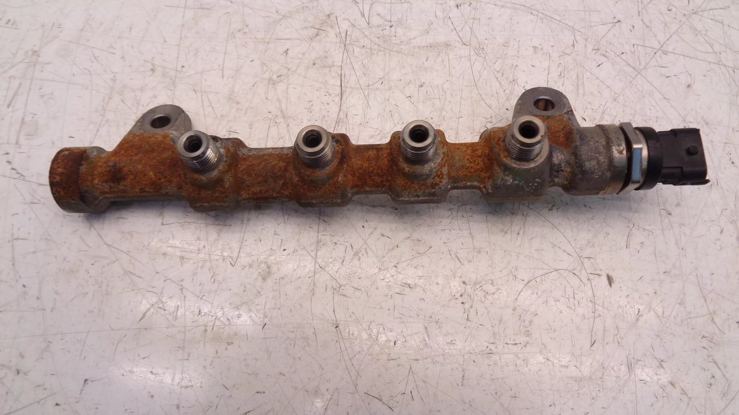 Rampa inyectora Fiat 1,6 D Multijet 198A3000 0445214192 55215208