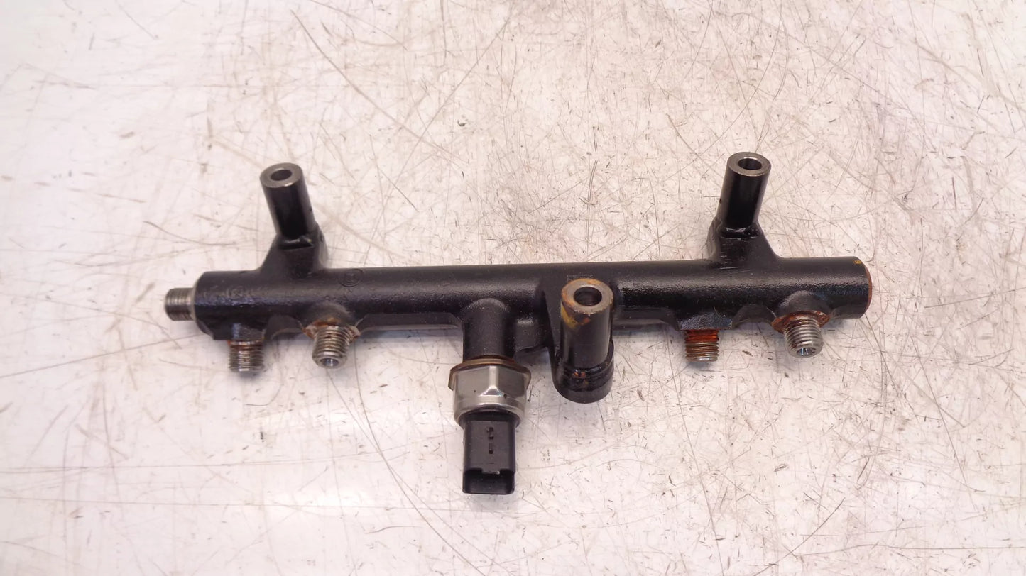 Rampa inyectora Citroen Peugeot 2,0 HDi AHZ DW10CD RH02 9681909680