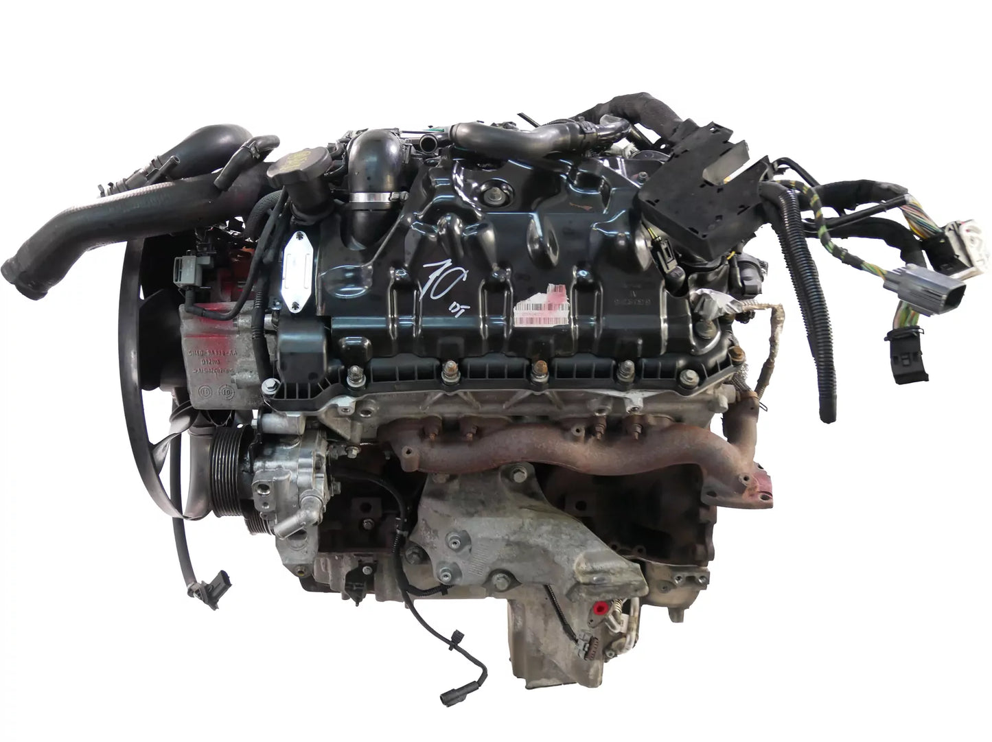 Motor Land Rover Range Rover 3.6 V8 D 4x4 368DT LR006675