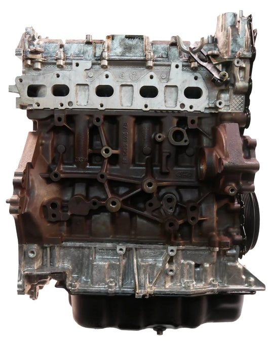 Motor revisado Ford Tourneo Transit 2.0 EcoBlue YLF6 Correa de distribución Pistón NUEVO