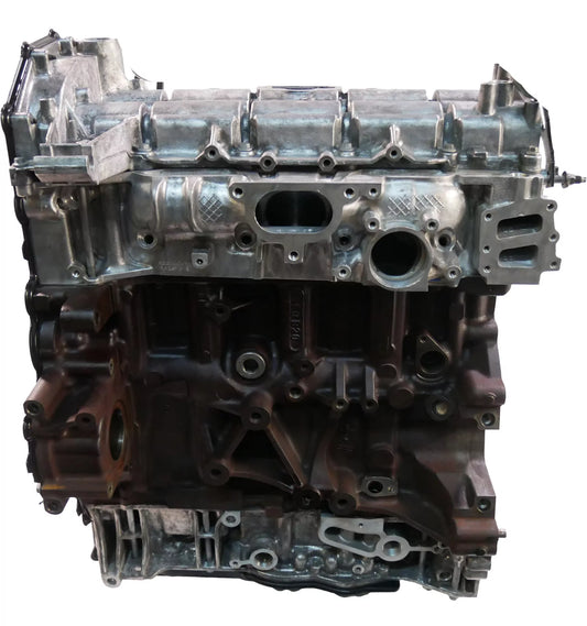 Motor Ford Transit V362 V363 2.0 EcoBlue BLFB Cojinete de correa dentada NUEVO