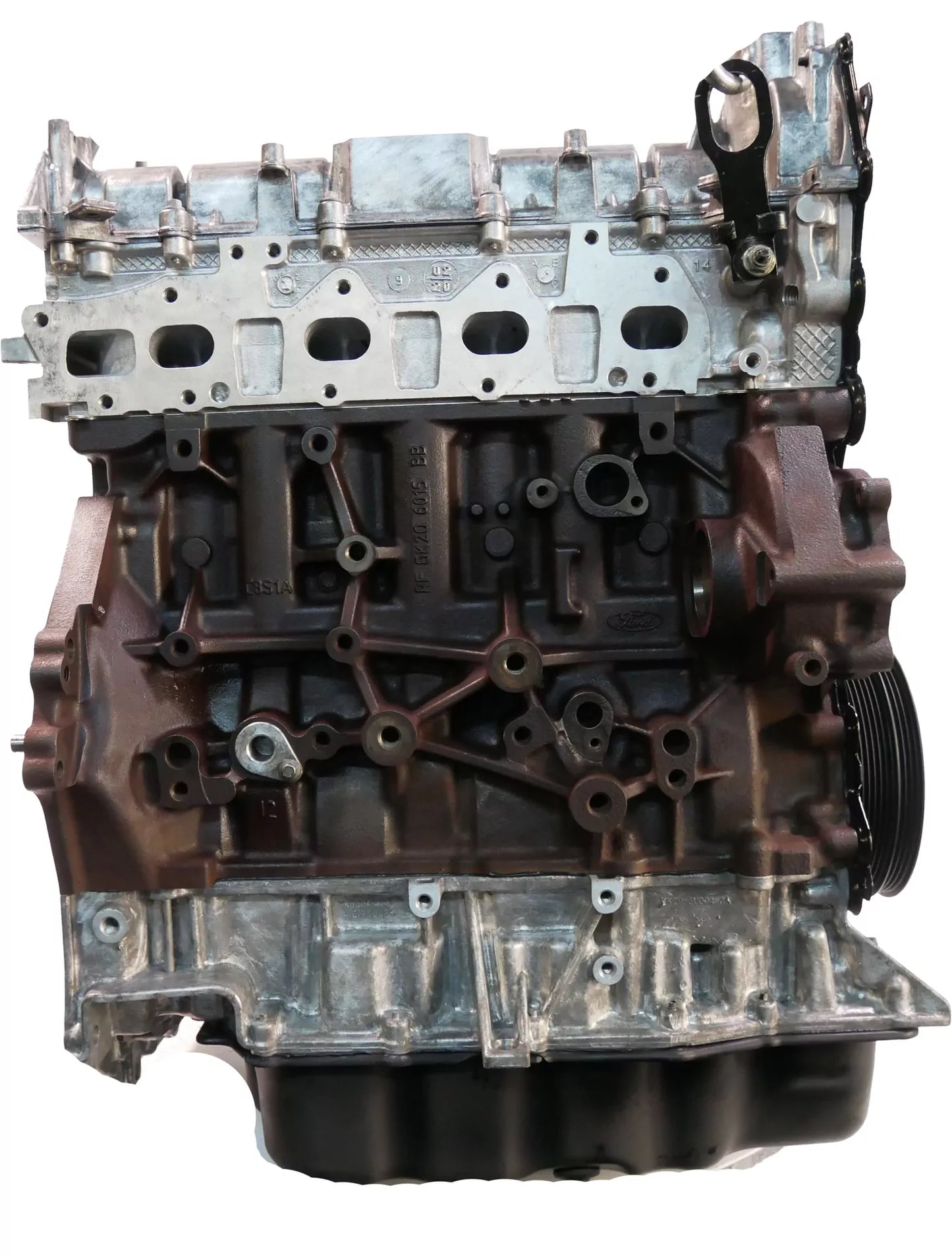 Motor Ford Transit V362 V363 2.0 EcoBlue BLFB Cojinete de correa dentada NUEVO