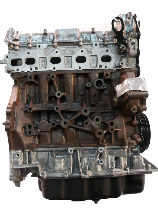 Motor revisado Ford Tourneo Transit 2.0 EcoBlue YMF6 pistón correa dentada NUEVO