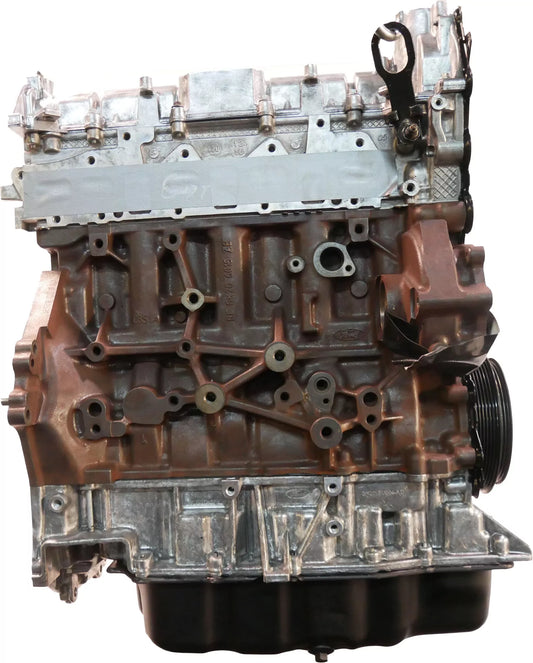 Motor revisado Ford Transit 2.0 EcoBlue YMF6 Correa de distribución Cojinete de pistón NUEVO