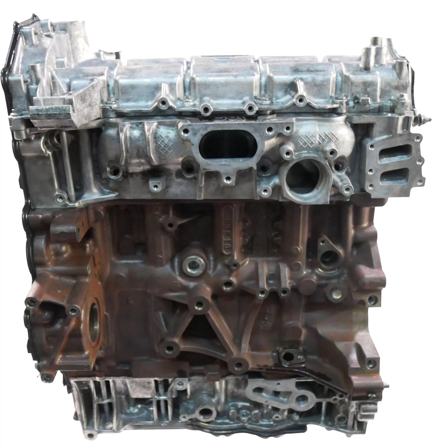 Motor revisado Ford Transit 2.0 EcoBlue YMF6 Correa de distribución Cojinete de pistón NUEVO