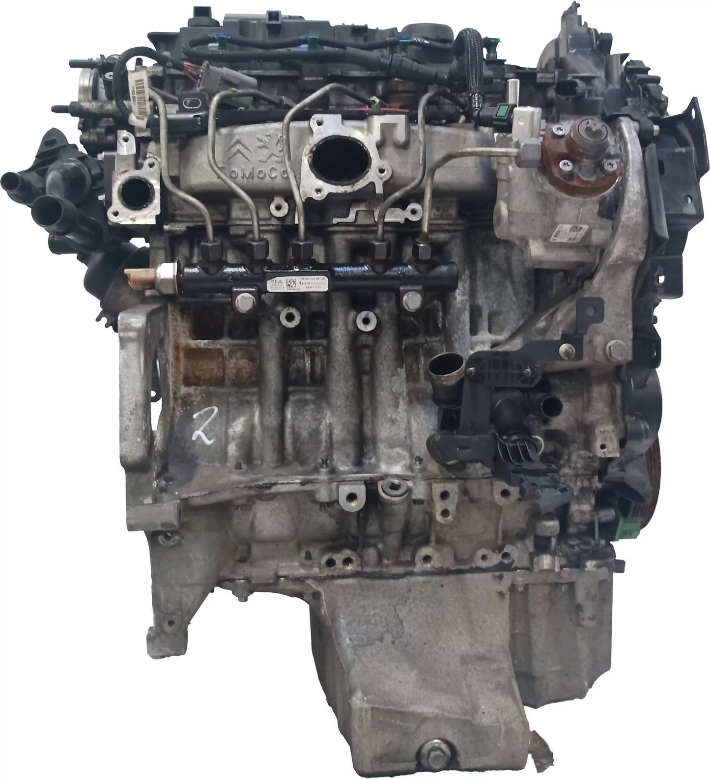 Motor Ford Transit B460 1.5 EcoBlue XXCC C15DSOX GM5Q-6006-DA