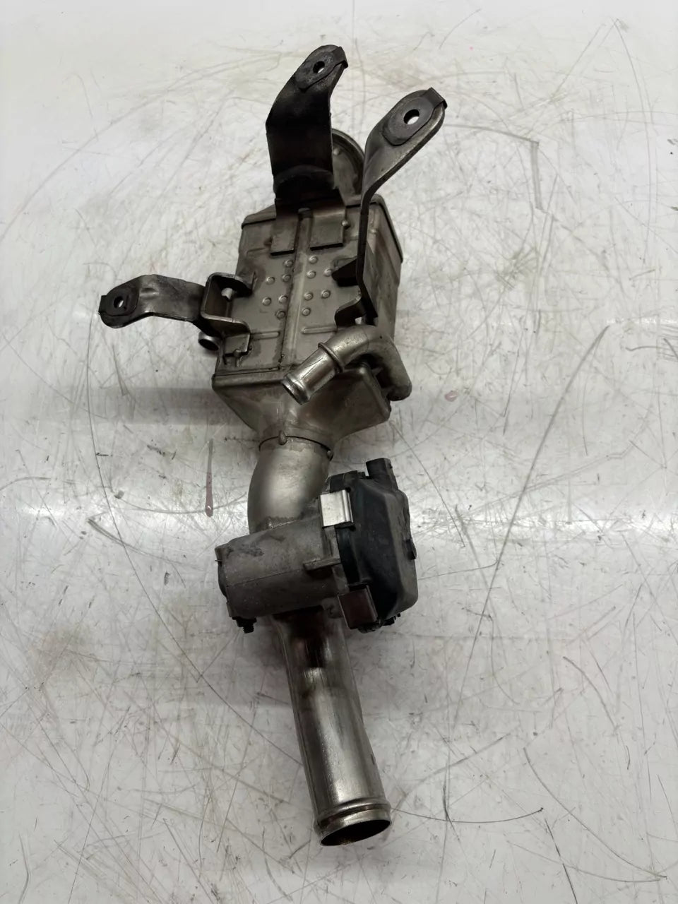 Refrigerador de gases escape Audi 3,0 50 TDI Mild Hybrid DDVB DDV 059131508