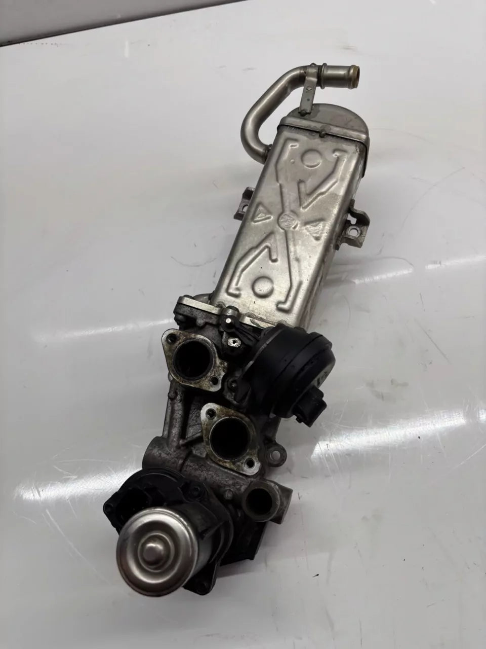 Refrigerador de gases escape Audi Skoda Volkswagen 1,6 TDI CAYD CAY 03L131512G