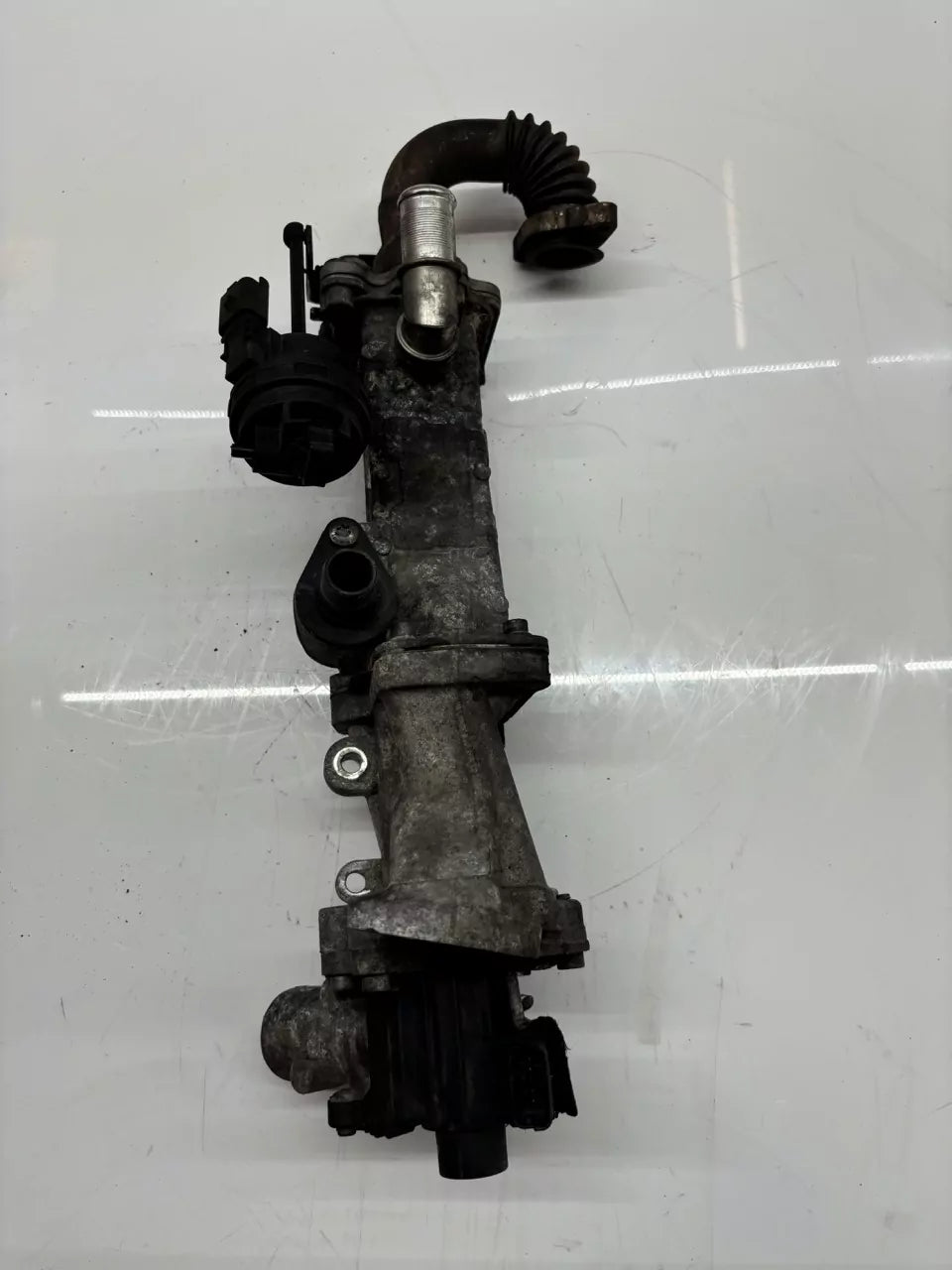 Refrigerador de gases escape Land Rover 2,2 224DT DW12BTED4 BG9Q-9F464-BB