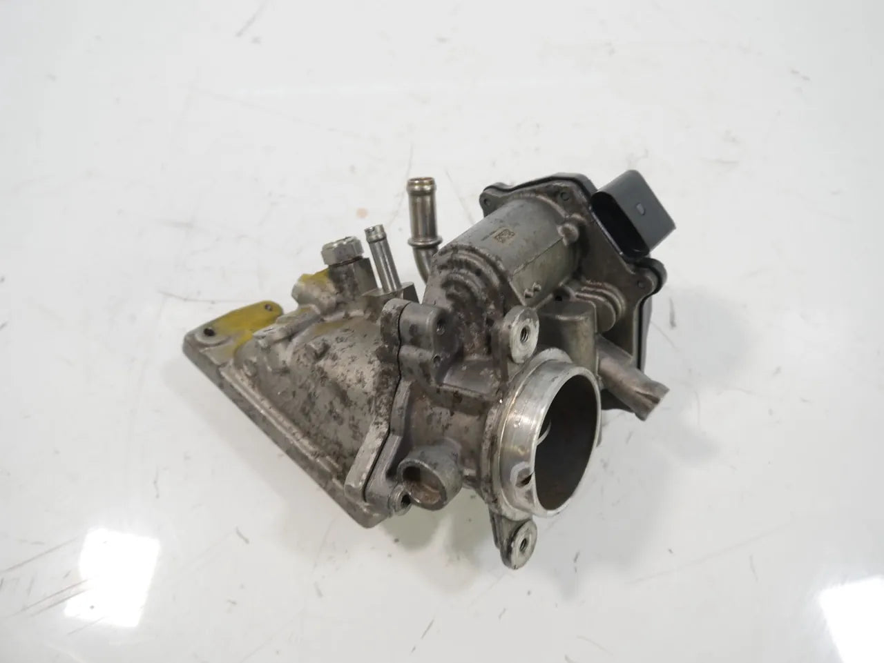 Mariposa Audi Seat Skoda Volkswagen A3 Q2 Ateca 1.6 TDI DGTE DGT 04L128063T