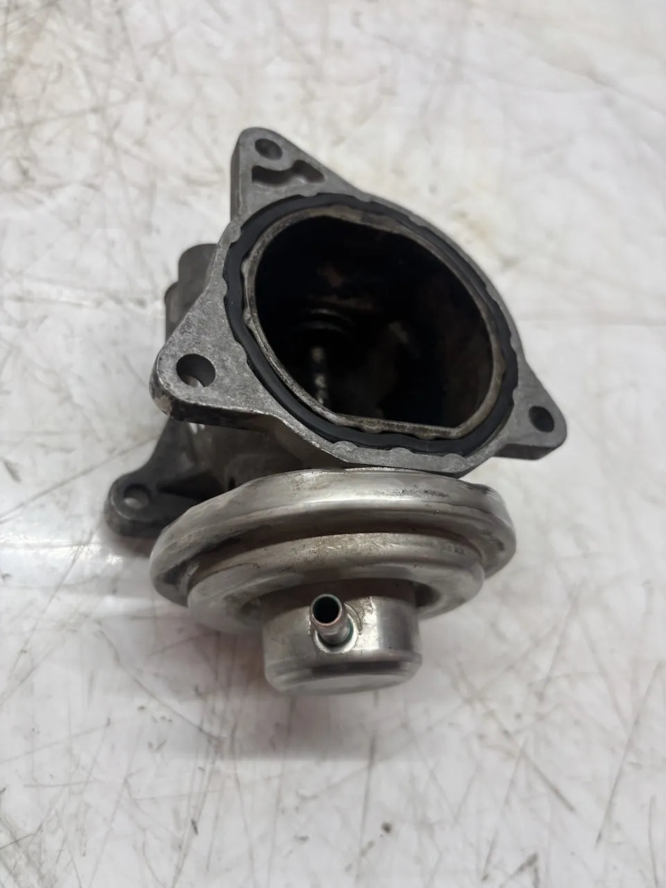 Válvula EGR Audi Seat Skoda Volkswagen A3 Leon Octavia Golf V 1.9 TDI BXE 038129637D