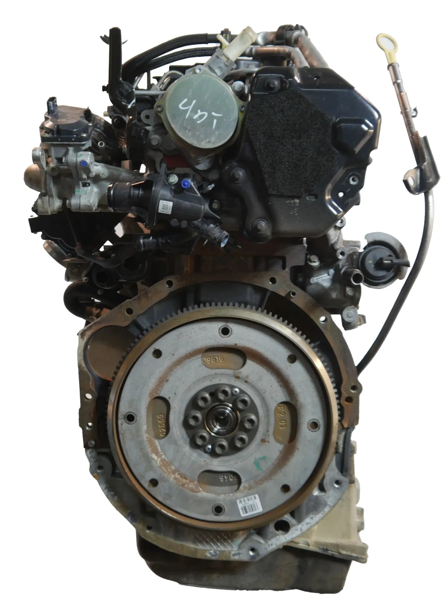 Motor Nissan Navara 2,3 dCi YS23DDT YS23