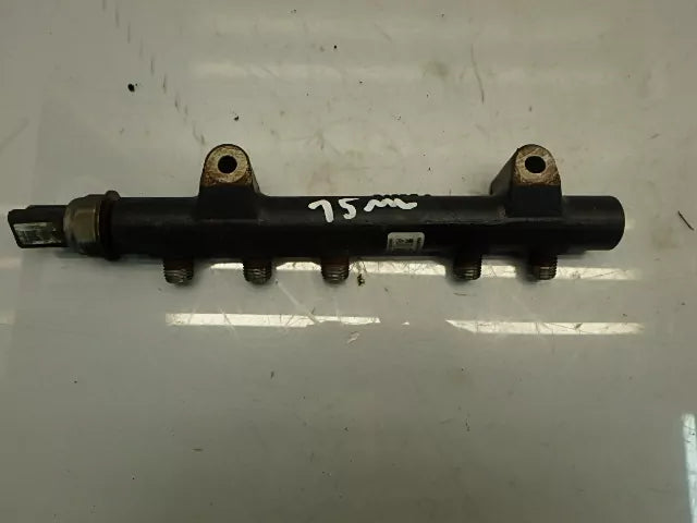 Rampa inyectora Citroen Peugeot DS3 C4 207 308 1.6 HDi 9HR DV6C 9H05 9684753080