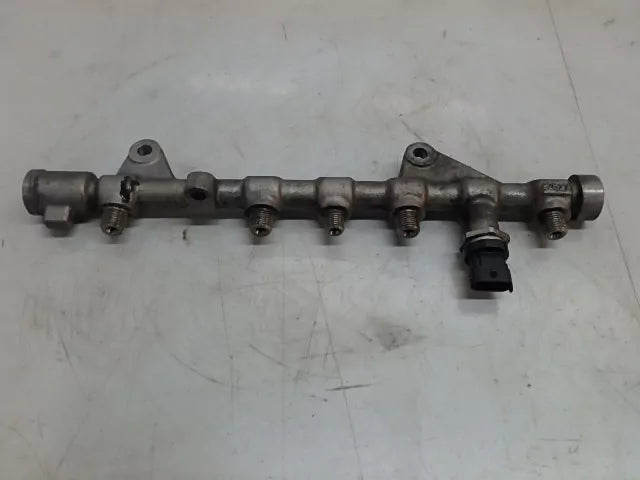 Rampa inyectora Renault Scenic III Grand Scenic Megane III 1.9 dCi F9Q872 820075048