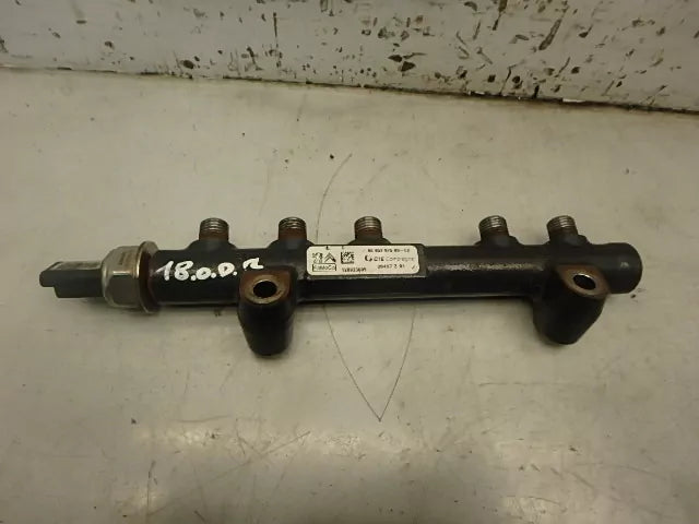 Rampa inyectora Citroen Peugeot 208 Partner 1,6 9HP DV6DTED 9H06 9685297580 DE262428