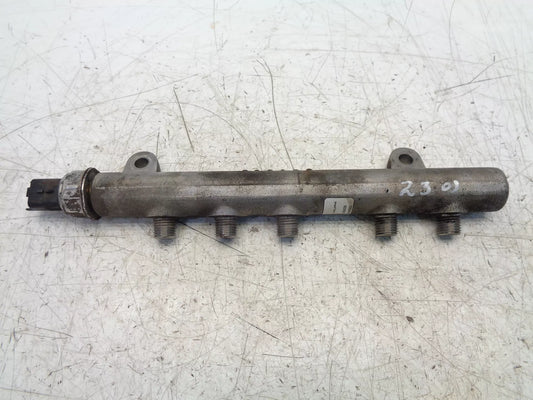 Rampa inyectora Ssangyong 2,2 Xdi OM672.950 D22DTF A6720700095