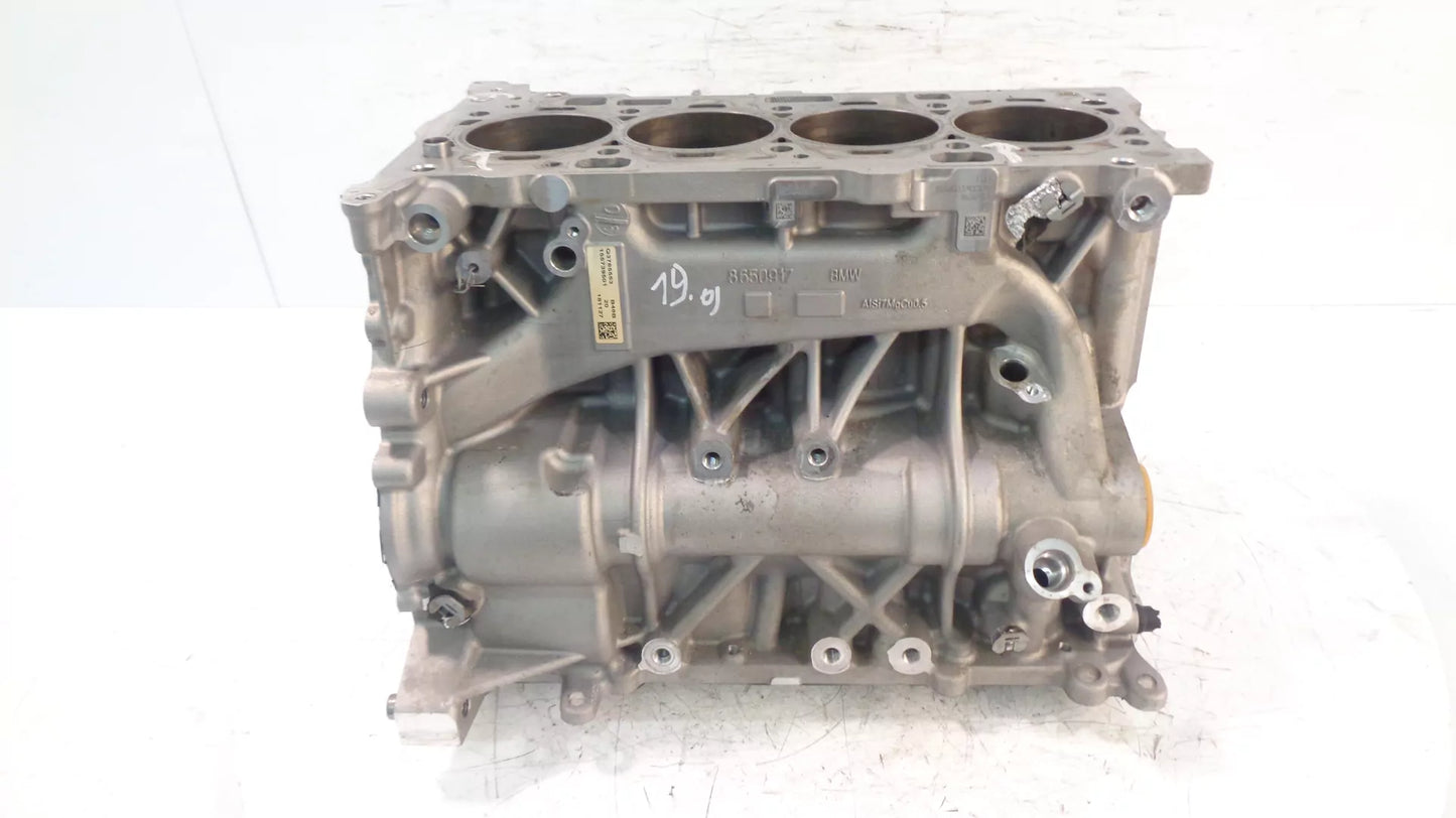 Bloque de motor Defecto BMW 2,0 gasolina B48B20B