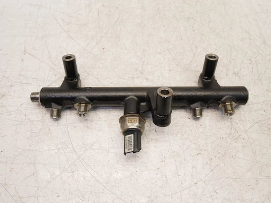 Rampa inyectora Ford 2,0 TDCI UFWA 9681909680