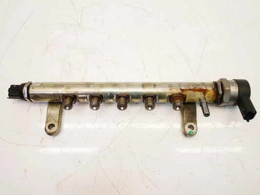 Rampa inyectora Land Rover 2,2 TD4 4x4 224DT DW12BTED4 9670890580