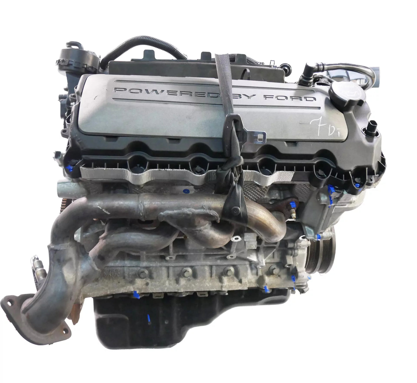 Motor Ford 5,0 V8 MF8F GR3E-6006-CC