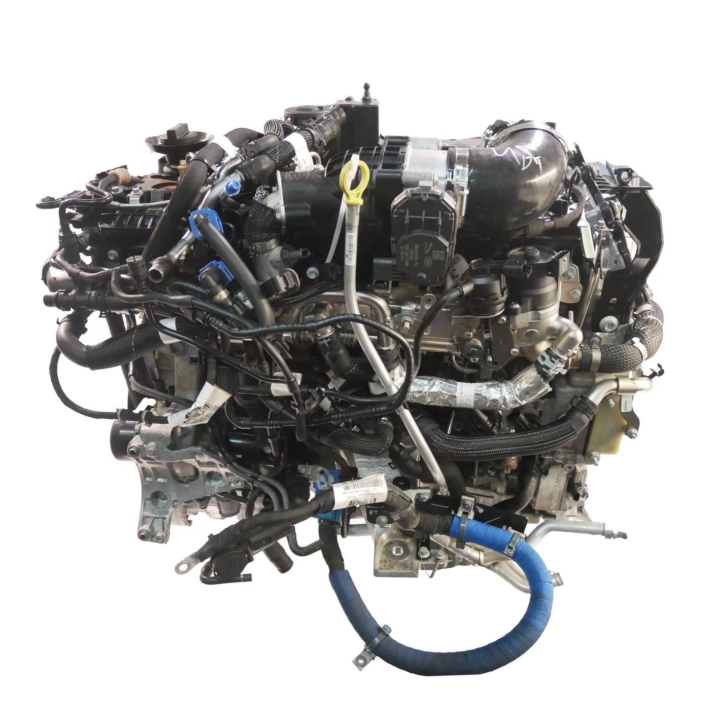 Motor Land Rover Range Rover 3.0 D300 MHEV DT306 AJ20D6 LR142504