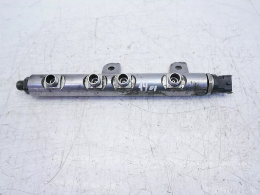 Rampa inyectora Land Rover 3,0 TD 306DT 0445216030