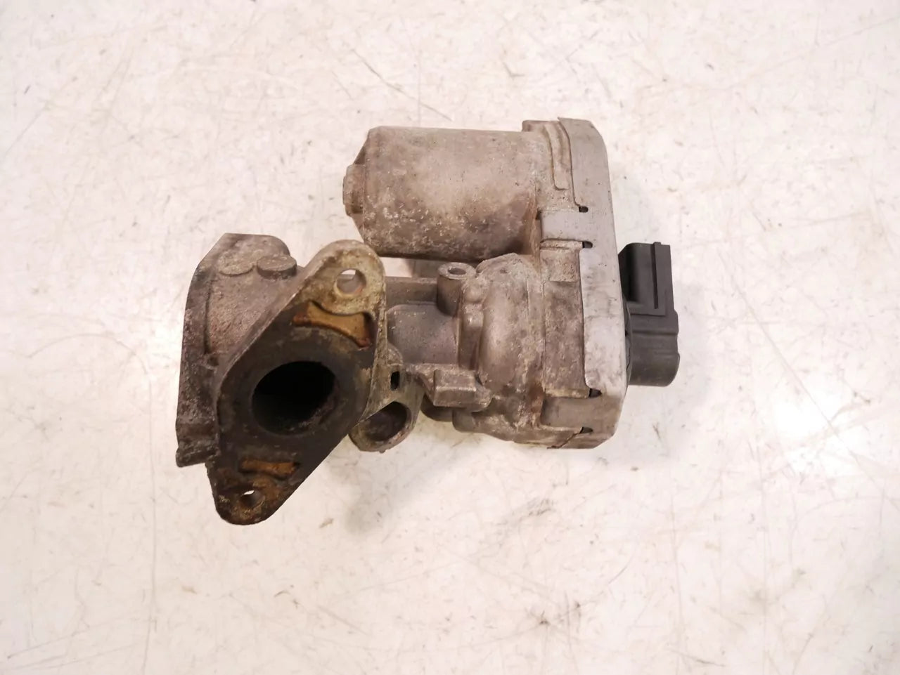 Válvula EGR Land Rover 2,4 Td4 4x4 244DT DT244