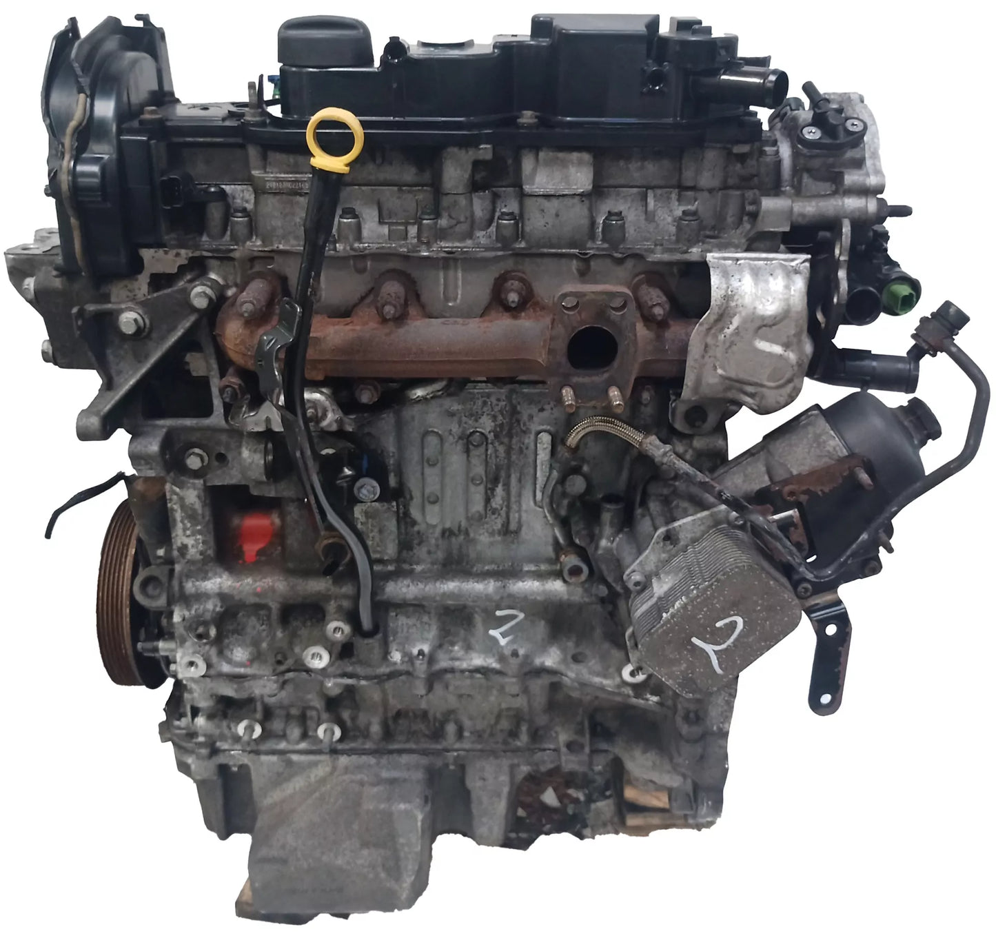 Motor Ford Transit B460 1.5 EcoBlue XXCC C15DSOX GM5Q-6006-DA