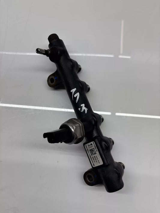 Rampa inyectora Peugeot Opel Citroen 2,0 BlueHDi DW10FDDU AH01 EHT 9674300080