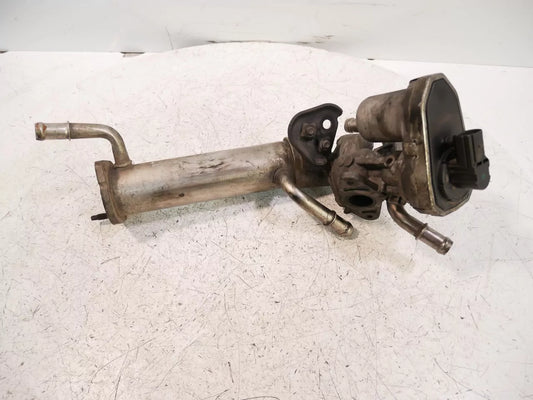 Refrigerador de gases escape Ford 2,4 TDCI JXFA PHFA 6C1Q-9F464-BC