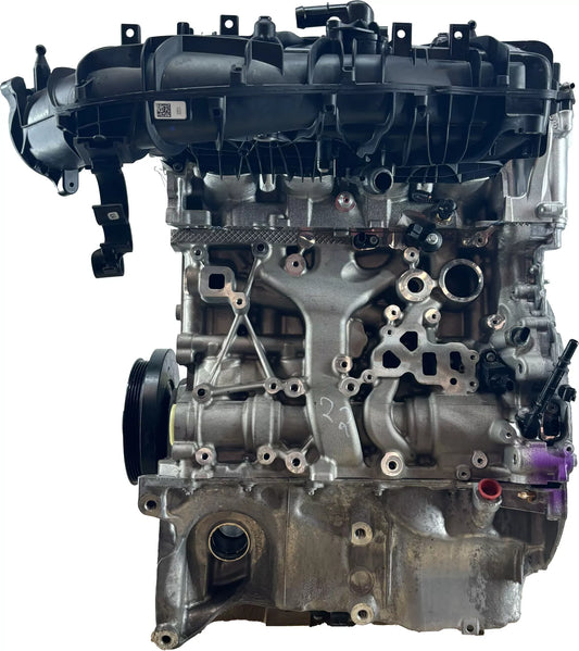 Motor BMW Serie 3 G20 G21 2.0 330 e xDrive XB1141M1 B48B20A B48 11005A078C8