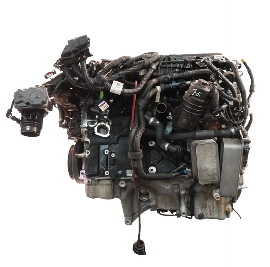 Motor BMW Serie 5 G30 3.0 530 d xDrive B57D30A B57 11002473237