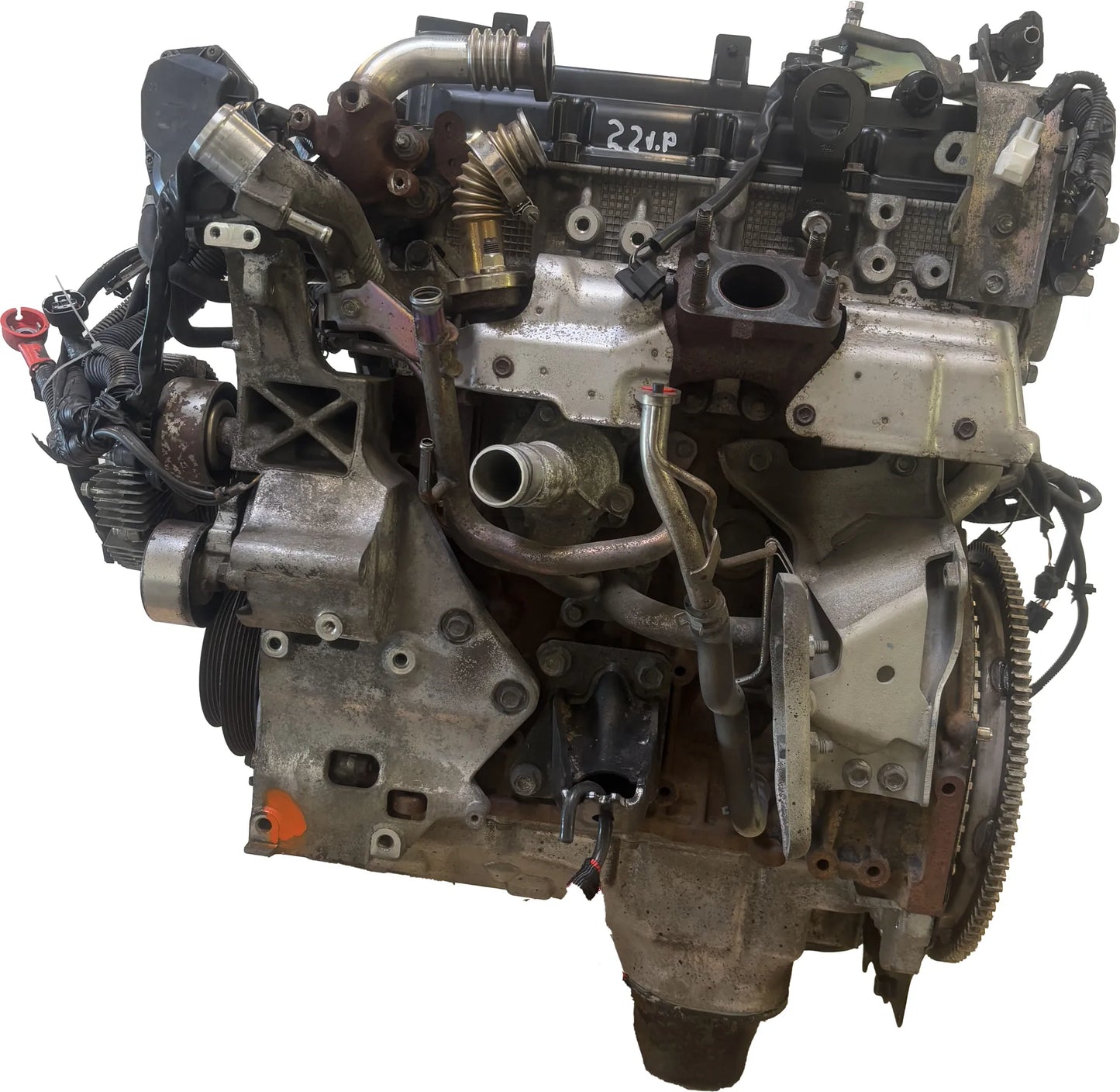 Motor Nissan Navara NP300 2.5 dCi YD25DDTI 101025X00A