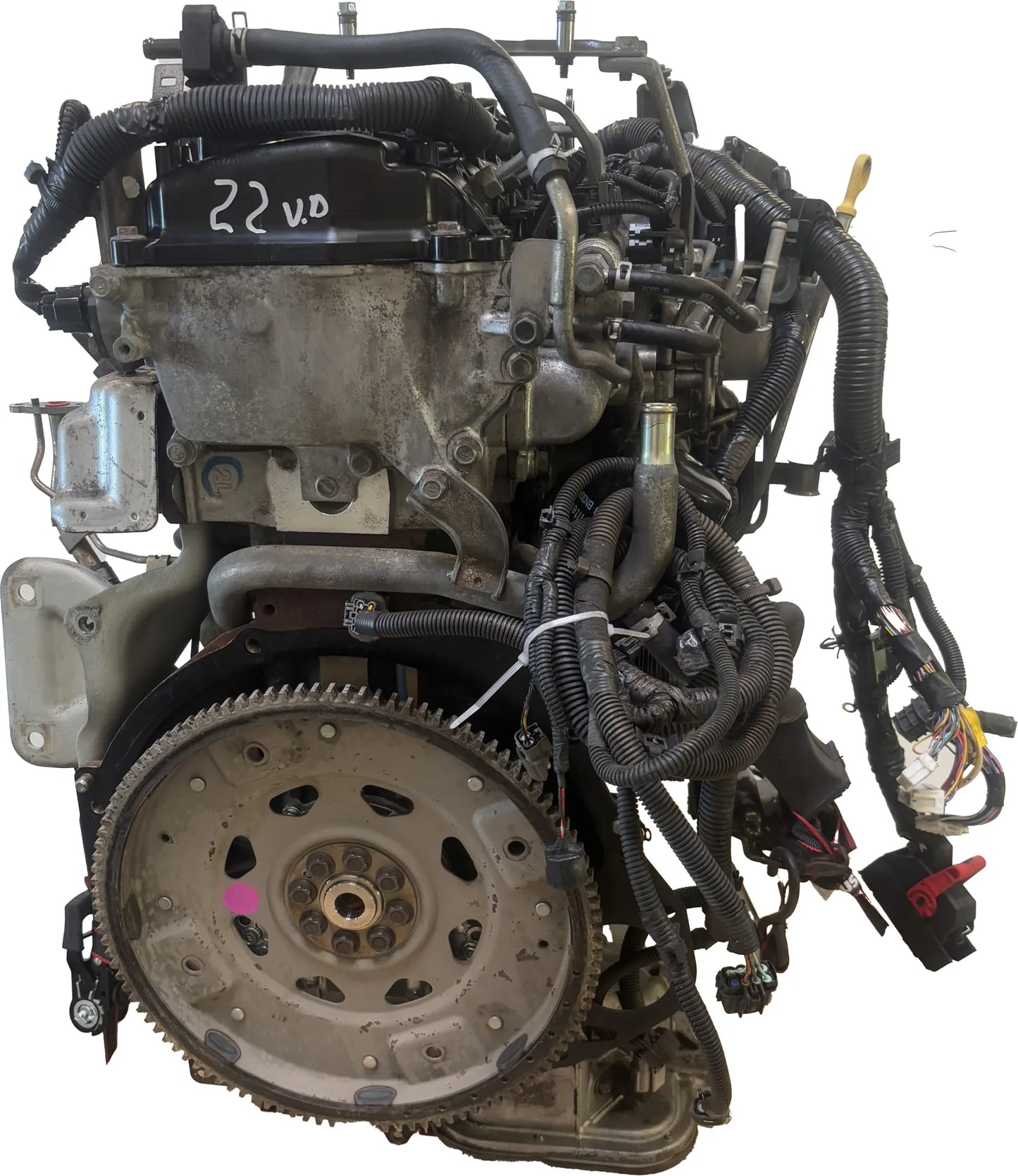 Motor Nissan Navara NP300 2.5 dCi YD25DDTI 101025X00A