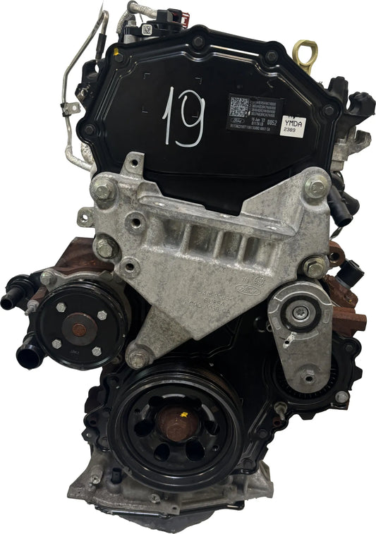 Motor Ford Kuga III 2.0 EcoBlue YMDA LX6Q-6006-DC