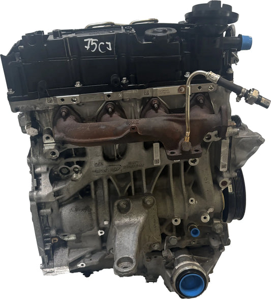 Motor BMW Serie 4 F32 F36 2.0 d 420d xDrive N47D20C 11002334003