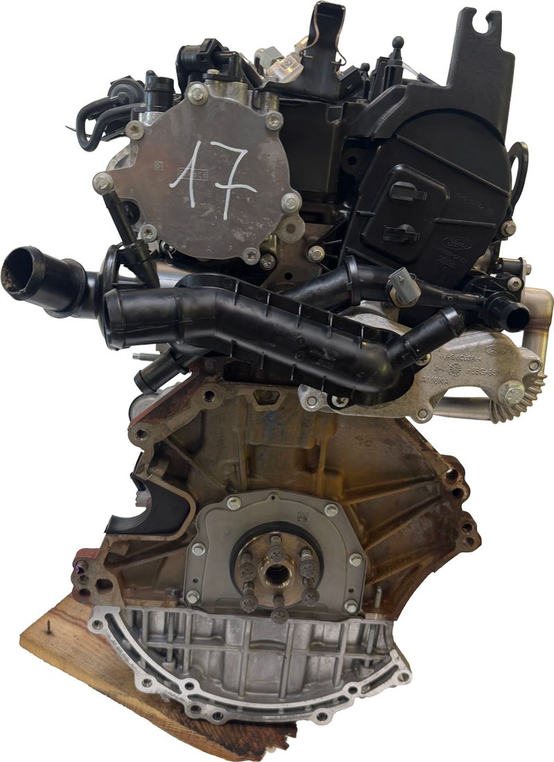 Motor Ford C-Max II 1.0 EcoBoost B7DA LV6G-6006-BA